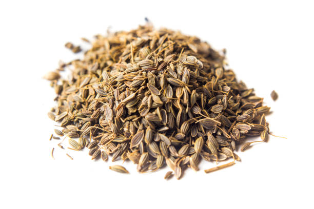Common Dill Seeds